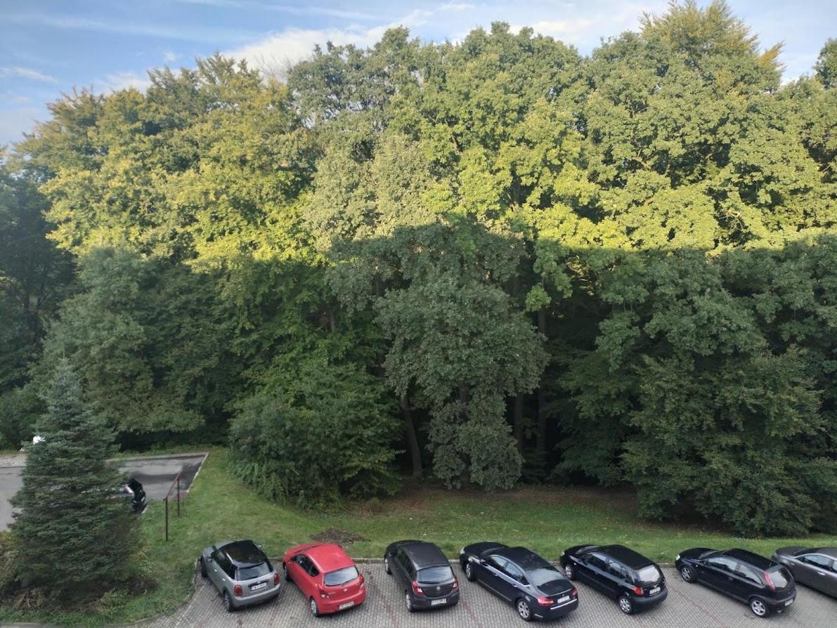 Nowoczesne Mieszkanie 63M2 Jastrzebie Zdroj Exterior photo